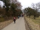 En route pour Niedergailbach par la for�t